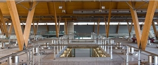  Logotipo da Bodegas Protos 